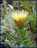 050121ag.jpg