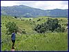 IMG_1349.JPG