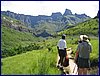 IMG_1403.JPG