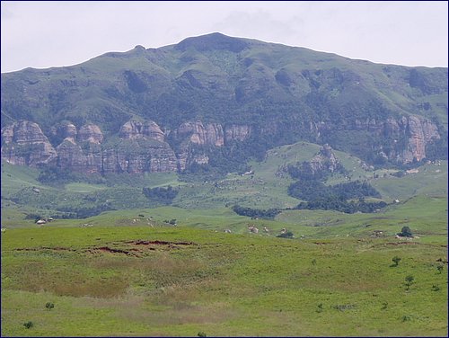 P1010027.JPG