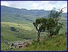 IMGP0688.JPG