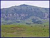 P1010027.JPG