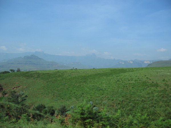 IMG_1017.JPG