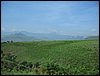 IMG_1017.JPG