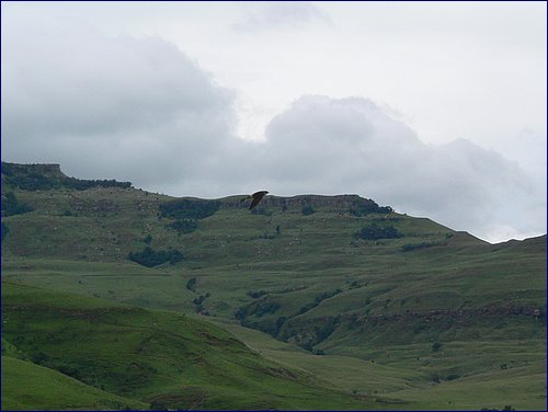 P1010841.JPG