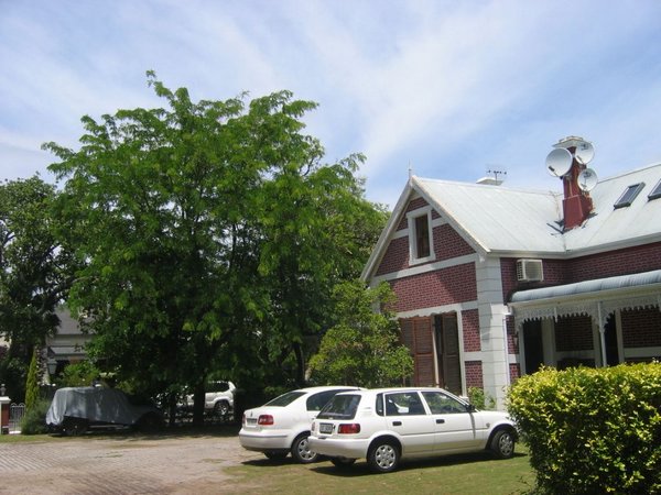 Image100.jpg