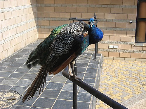 IMG_0023.JPG