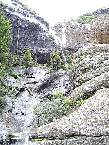 DSC00204.JPG