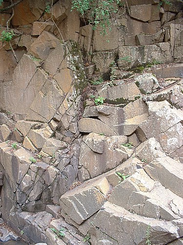 DSCF0180.JPG