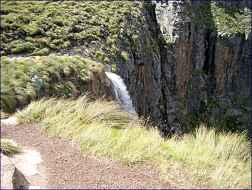IMGP0759.JPG