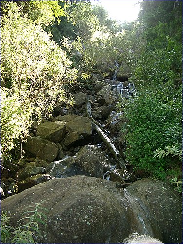 Copy of IMGP0711.JPG