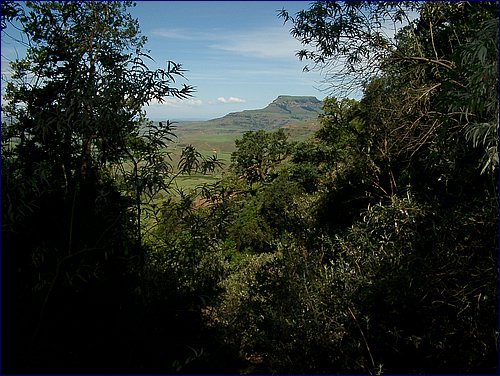 IMGP0710.JPG