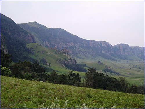 P1200063.JPG
